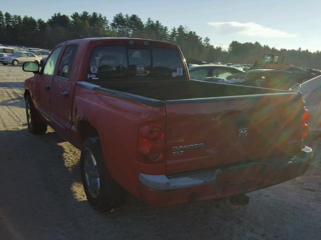 1D7HE48K85S165541 - 2005 DODGE DAKOTA QUA RED photo 3