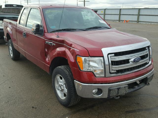 1FTFX1EF5DFA21521 - 2013 FORD F150 SUPER RED photo 1