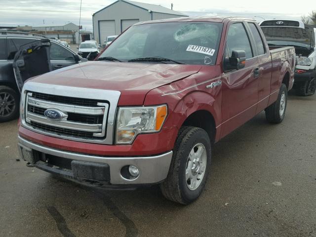 1FTFX1EF5DFA21521 - 2013 FORD F150 SUPER RED photo 2