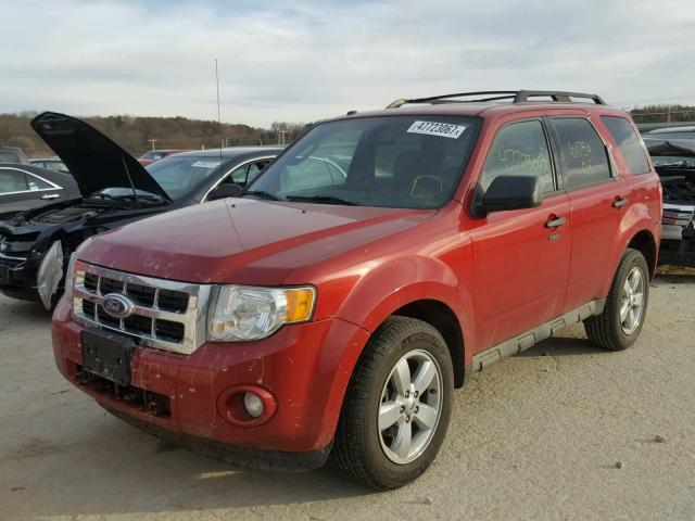 1FMCU0D72BKA53911 - 2011 FORD ESCAPE XLT RED photo 2