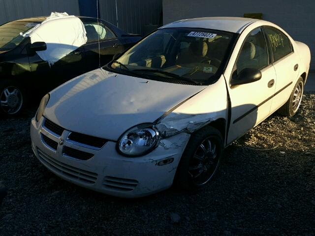 1B3ES26C94D588736 - 2004 DODGE NEON BASE WHITE photo 2