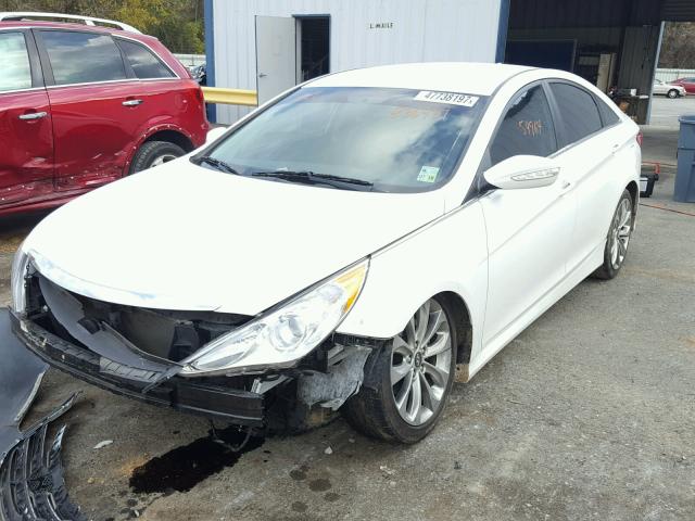 5NPEB4AC5EH836901 - 2014 HYUNDAI SONATA GLS WHITE photo 2