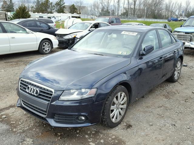 WAUBFAFLXCN003135 - 2012 AUDI A4 PREMIUM BLUE photo 2