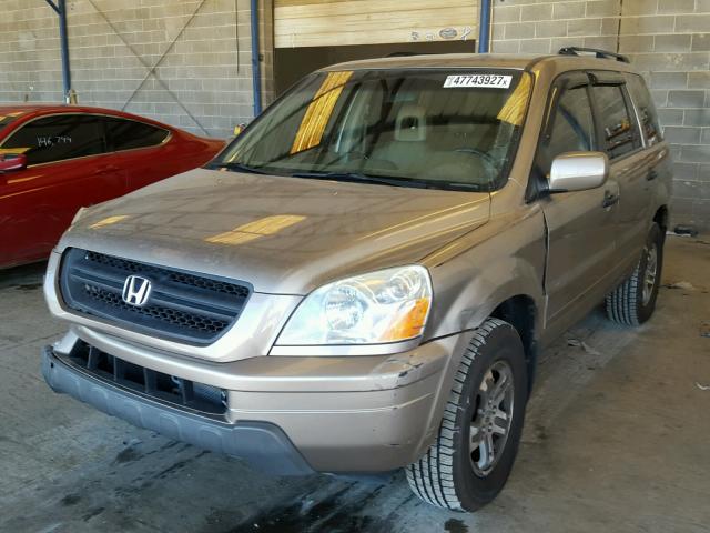 2HKYF18564H623896 - 2004 HONDA PILOT EXL GOLD photo 2