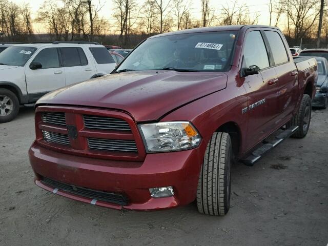 1D7RV1CT8BS565503 - 2011 DODGE RAM 1500 BURGUNDY photo 2