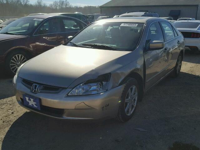 1HGCM66554A099651 - 2004 HONDA ACCORD EX 金色 照片 2