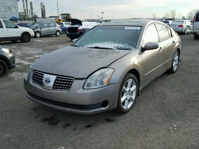 1N4BA41E75C803861 - 2005 NISSAN MAXIMA SE BEIGE photo 2