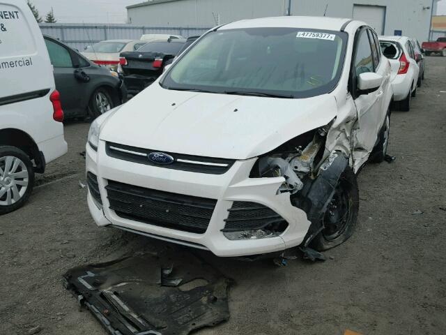 1FMCU0GX1DUD42653 - 2013 FORD ESCAPE SE WHITE photo 2