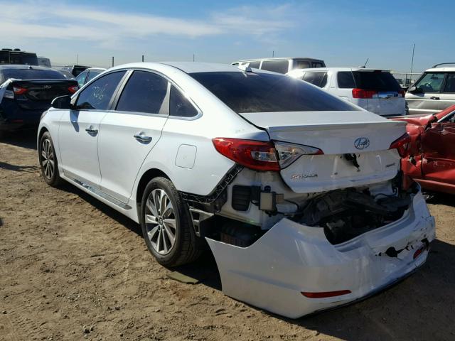 5NPE34AF8FH077654 - 2015 HYUNDAI SONATA SPO WHITE photo 3