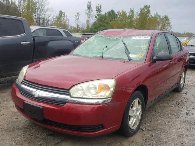 1G1ZT54894F242616 - 2004 CHEVROLET MALIBU LS წითელი ფოტო 2