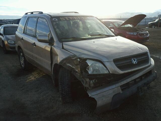 5FNYF18565B029406 - 2005 HONDA PILOT EXL GOLD photo 1