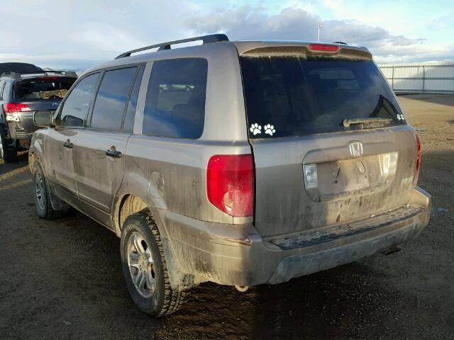 5FNYF18565B029406 - 2005 HONDA PILOT EXL GOLD photo 3