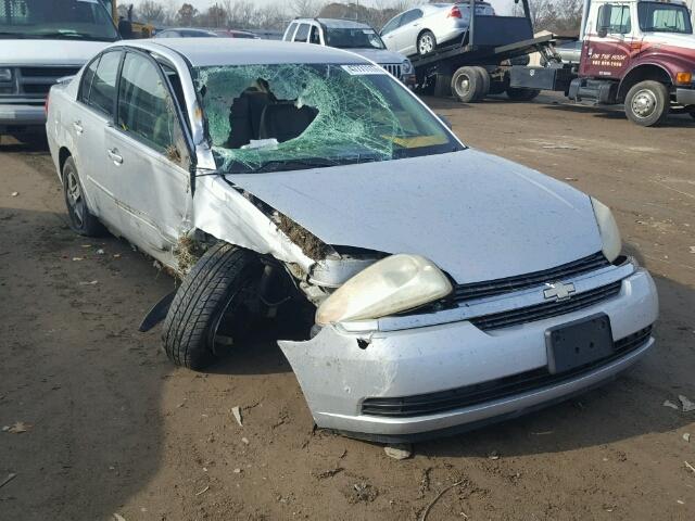 1G1ZT52825F311330 - 2005 CHEVROLET MALIBU LS SILVER photo 1