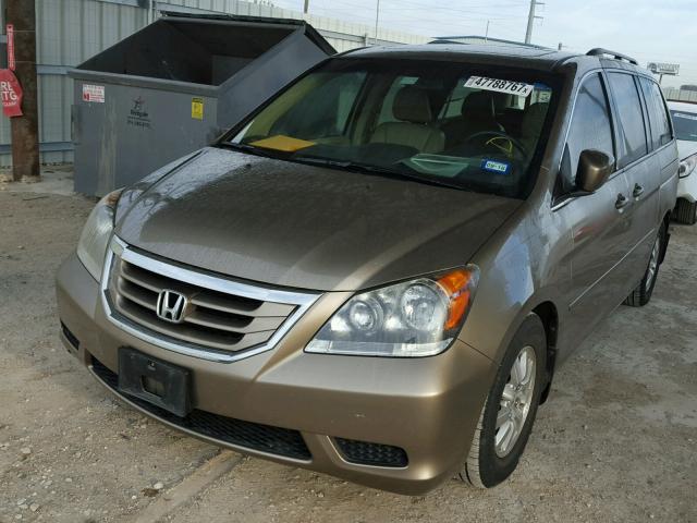 5FNRL386X9B405631 - 2009 HONDA ODYSSEY EX GOLD photo 2