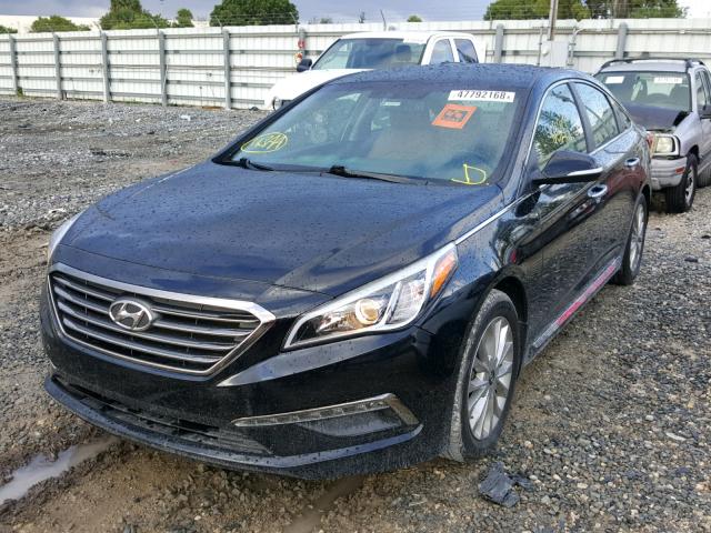 5NPE34AF7FH132031 - 2015 HYUNDAI SONATA SPO BLACK photo 2