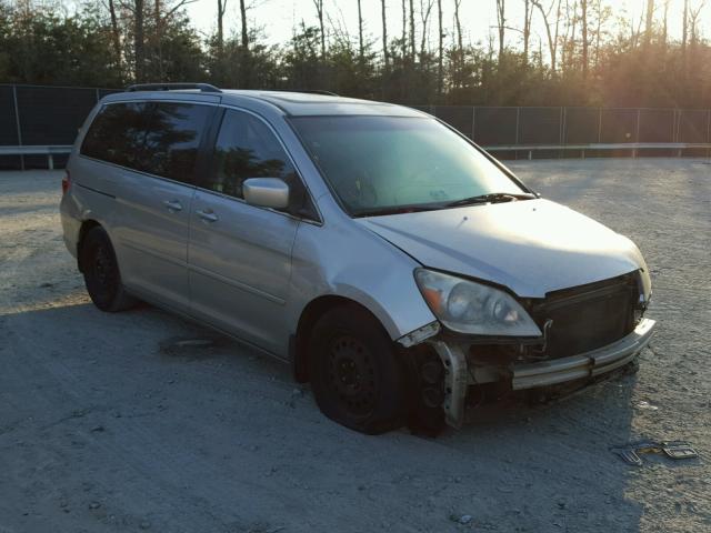 5FNRL38875B118369 - 2005 HONDA ODYSSEY TO GOLD photo 1