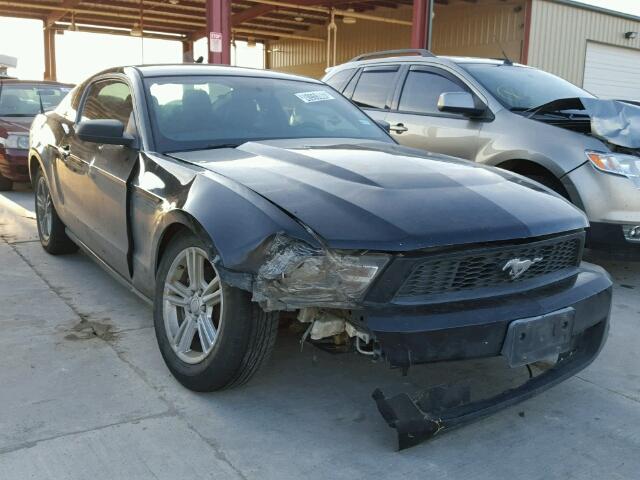 1ZVBP8AM2B5105940 - 2011 FORD MUSTANG BLACK photo 1