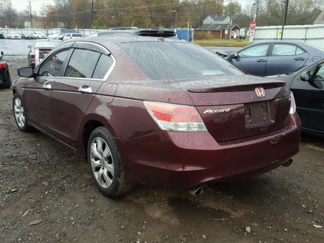 1HGCP36818A022782 - 2008 HONDA ACCORD EXL MAROON photo 3