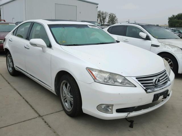 JTHBK1EG5A2369259 - 2010 LEXUS ES 350 WHITE photo 1