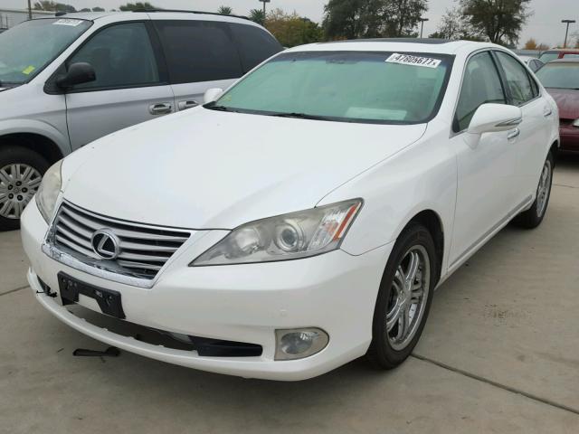 JTHBK1EG5A2369259 - 2010 LEXUS ES 350 WHITE photo 2