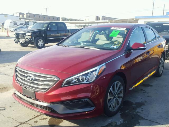 5NPE34AF5GH331483 - 2016 HYUNDAI SONATA SPO BURGUNDY photo 2