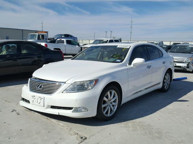 JTHBL46F285076481 - 2008 LEXUS LS 460 WHITE photo 2