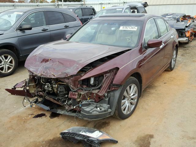 1HGCP3F86CA017201 - 2012 HONDA ACCORD EXL BURGUNDY photo 2