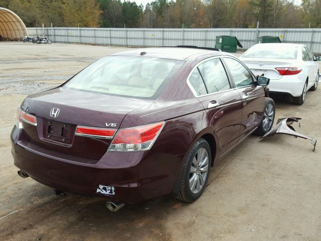 1HGCP3F86CA017201 - 2012 HONDA ACCORD EXL BURGUNDY photo 4