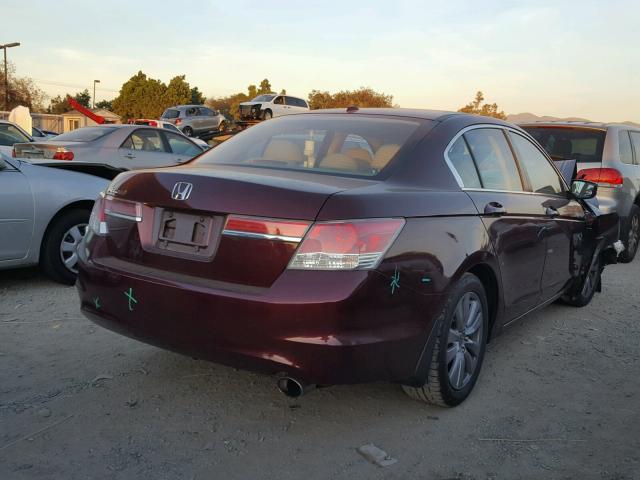 1HGCP2F82CA152167 - 2012 HONDA ACCORD EXL BURGUNDY photo 4