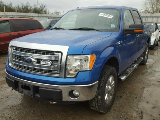 1FTFW1EF0DFA74937 - 2013 FORD F150 SUPER BLUE photo 2