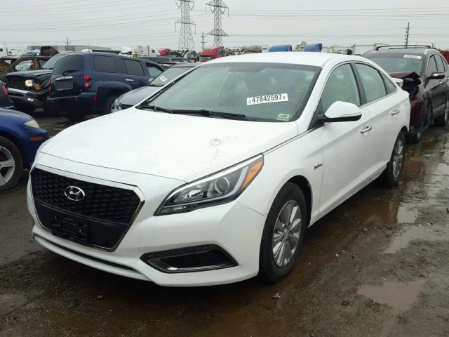 KMHE24L14GA033790 - 2016 HYUNDAI SONATA HYB WHITE photo 2