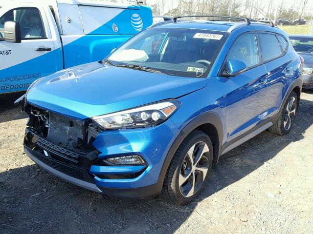 KM8J33A2XHU433404 - 2017 HYUNDAI TUCSON LIM BLUE photo 2