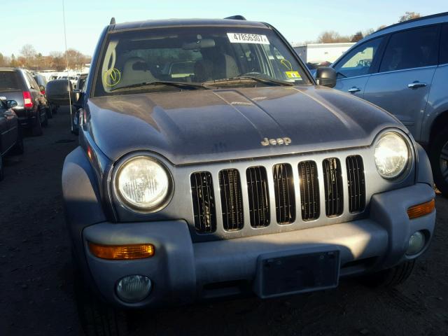 1J4GL48K62W352691 - 2002 JEEP LIBERTY SP BLUE photo 9