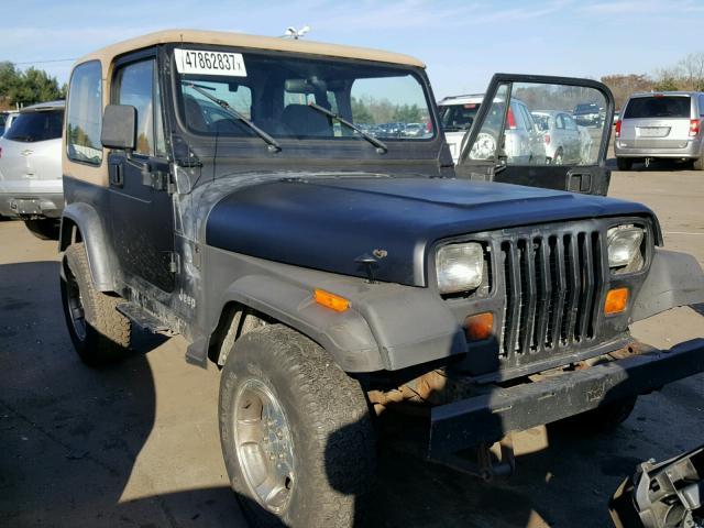 1J4FY29S9SP281156 - 1995 JEEP WRANGLER / BLACK photo 1