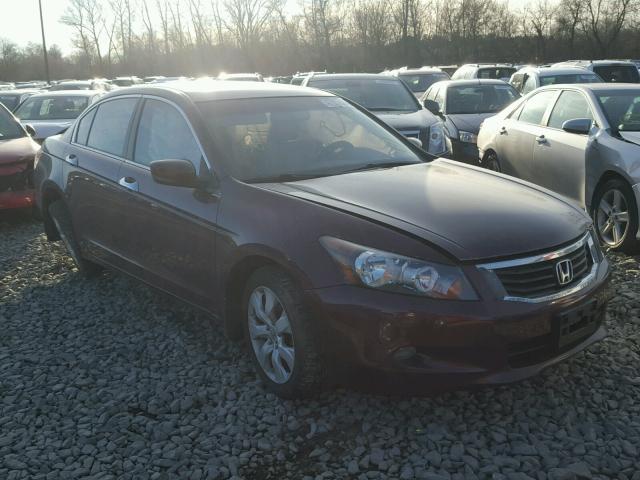 1HGCP368X8A002868 - 2008 HONDA ACCORD EXL MAROON photo 1