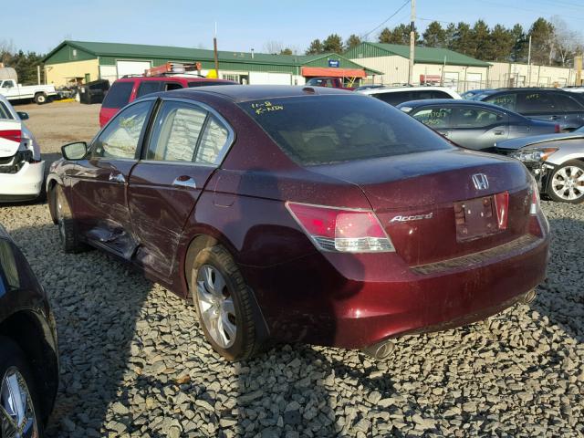 1HGCP368X8A002868 - 2008 HONDA ACCORD EXL MAROON photo 3