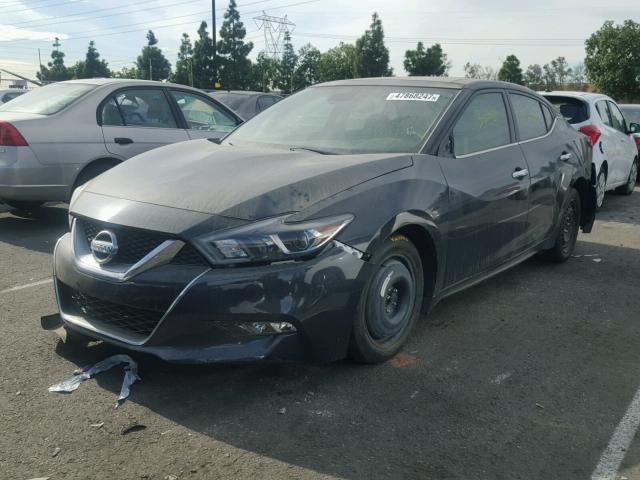 1N4AA6AP7GC904393 - 2016 NISSAN MAXIMA 3.5 GRAY photo 2