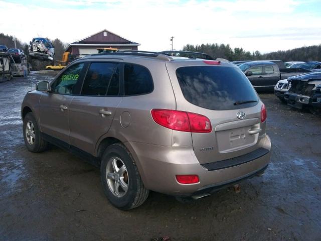 5NMSG73D17H076090 - 2007 HYUNDAI SANTA FE G BEIGE photo 3