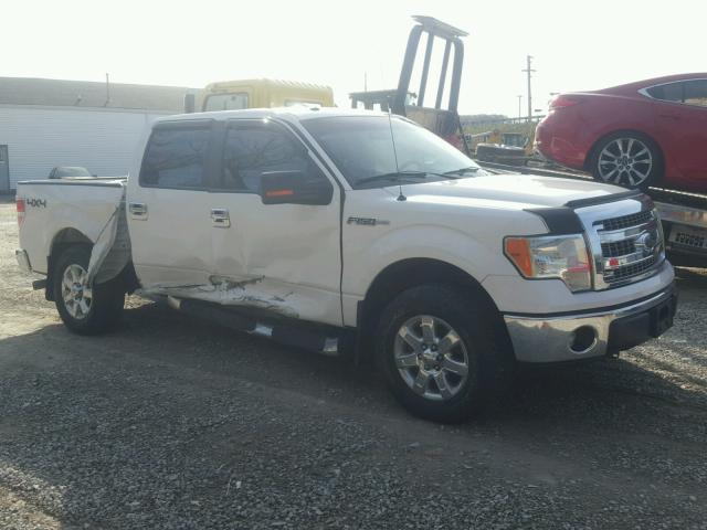 1FTFW1EF8DKD88648 - 2013 FORD F150 SUPER WHITE photo 1