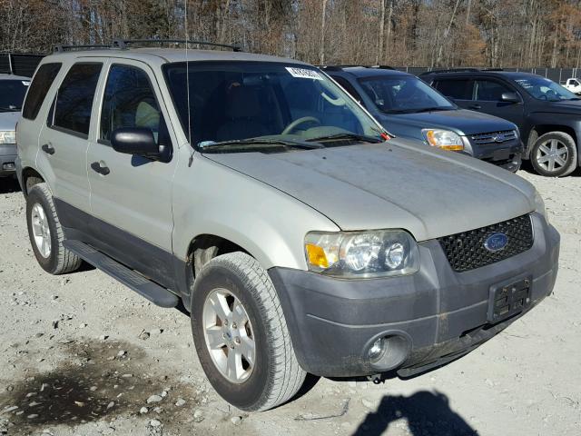 1FMYU031X5KA41321 - 2005 FORD ESCAPE XLT BEIGE photo 1