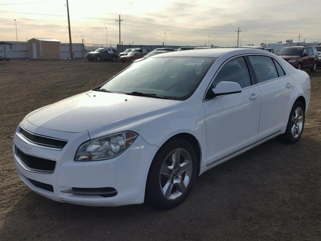 1G1ZC5EB0AF177130 - 2010 CHEVROLET MALIBU 1LT 白色 照片 2