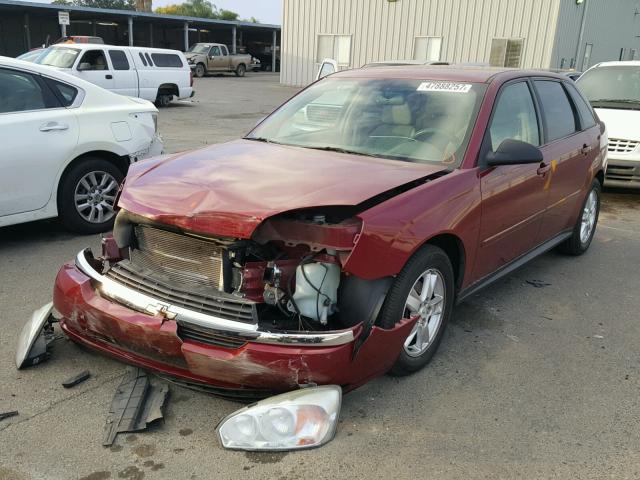 1G1ZT62885F250359 - 2005 CHEVROLET MALIBU MAX RED photo 2