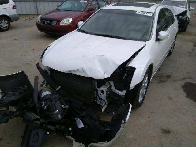 1N4BA41E27C844255 - 2007 NISSAN MAXIMA SE WHITE photo 2