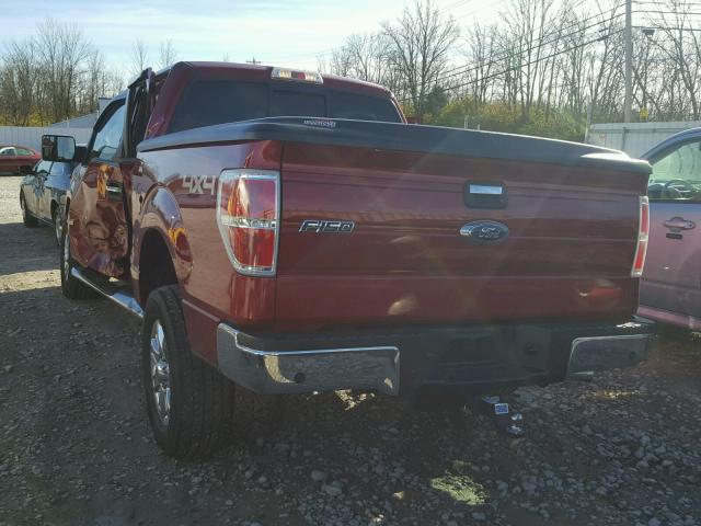 1FTFW1ETXEFB49568 - 2014 FORD F150 SUPER RED photo 3