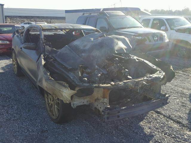 1ZVBP8CH8A5164537 - 2010 FORD MUSTANG GT BURN photo 1