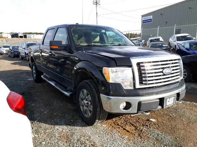 1FTFW1EV3AFD21077 - 2010 FORD F150 SUPER BLACK photo 1