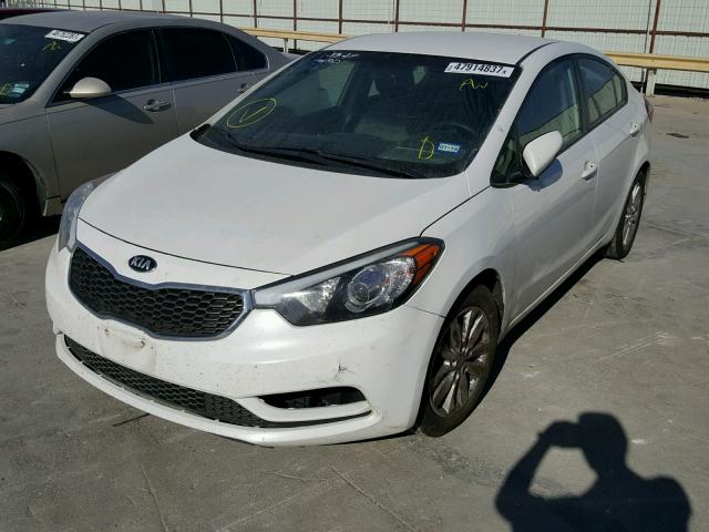 KNAFX4A68E5140143 - 2014 KIA FORTE LX WHITE photo 2