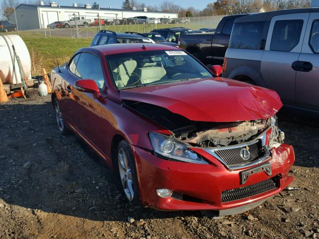 JTHFF2C21B2516276 - 2011 LEXUS IS 250 RED photo 1