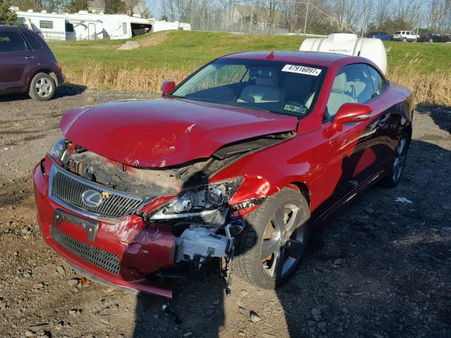 JTHFF2C21B2516276 - 2011 LEXUS IS 250 RED photo 2