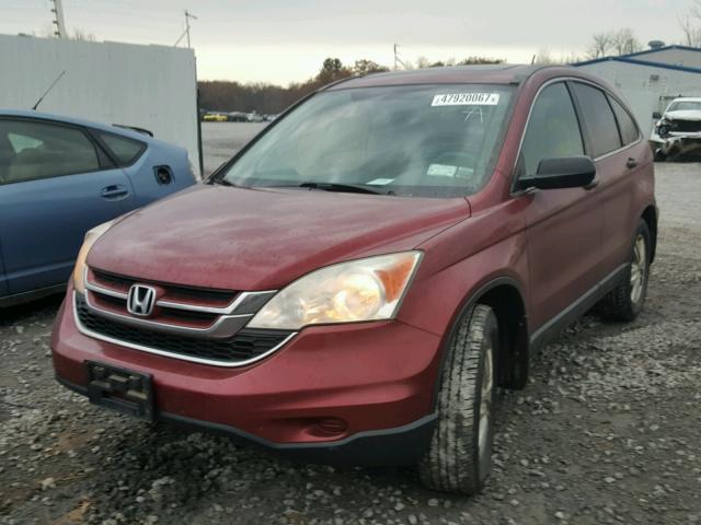 5J6RE4H50AL004902 - 2010 HONDA CR-V EX BURGUNDY photo 2